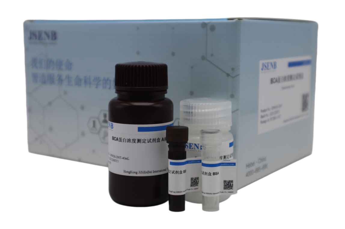 BCA蛋白浓度测定试剂盒使用手册