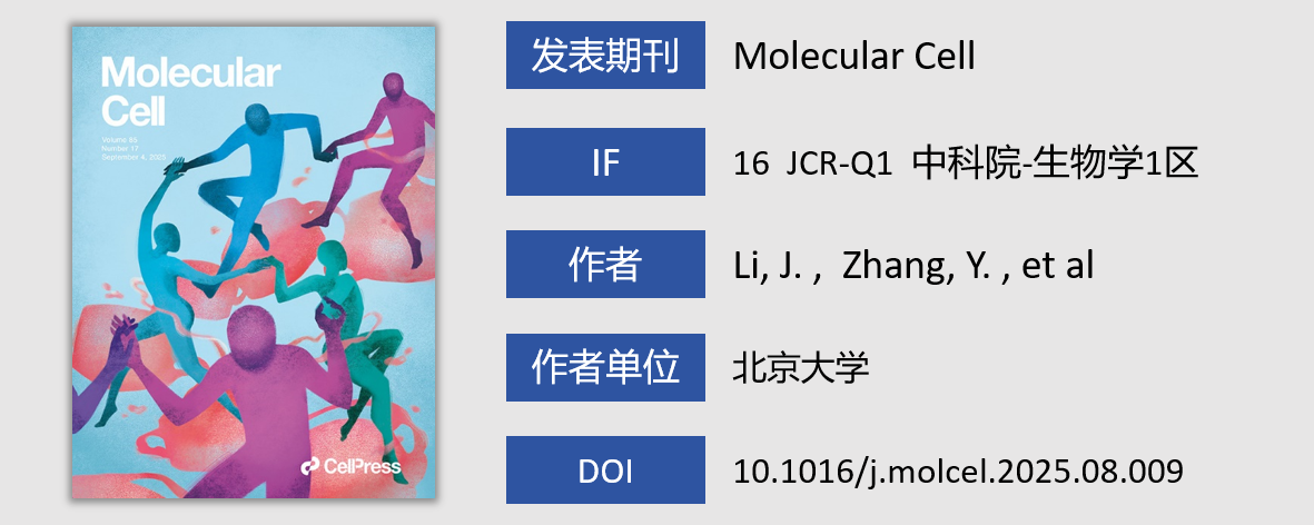 JSENB丨Tris，Glycine，SDS—以基础试剂搭建蛋白质研究的坚实舞台，助力《Molecular Cell》揭示氧化应激应答新机制！