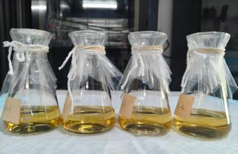 不同来源酵母浸粉对大肠杆菌生长性能的影响